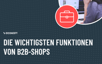 Wichtige B2B-Shop-Funktionen – Welche Anforderungen sollte Ihr B2B-Online-Shop erfüllen?