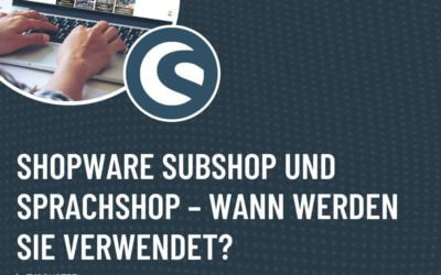 Shopware Subshop und Sprachshop – Wann werden sie verwendet?