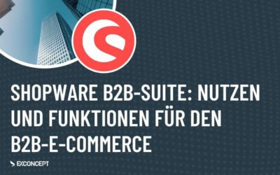 Shopware B2B-Suite – Was bietet das Shop-System für B2B-Händler?