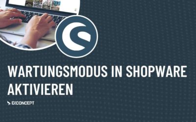 Wartungsmodus in Shopware aktivieren